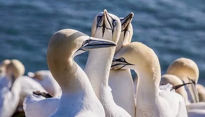 开云登录线上-从轮滑到速度滑冰 32岁的郭丹把不可能变成可能