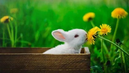 半岛·体育中国官方网——您的专业体育资讯首选平台